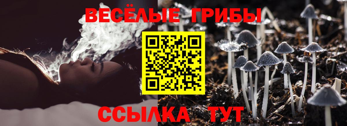Галлюциногенные грибы ЛСД  Псилоцибиновые грибы мухоморы  Вход с VPN  Глазов 